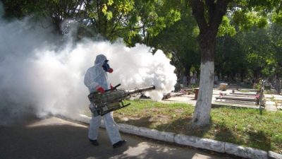 Admiten que es «preocupante» la cantidad de casos de dengue