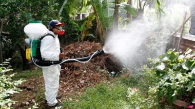 Es preocupante la situación del dengue en la región de Reconquista