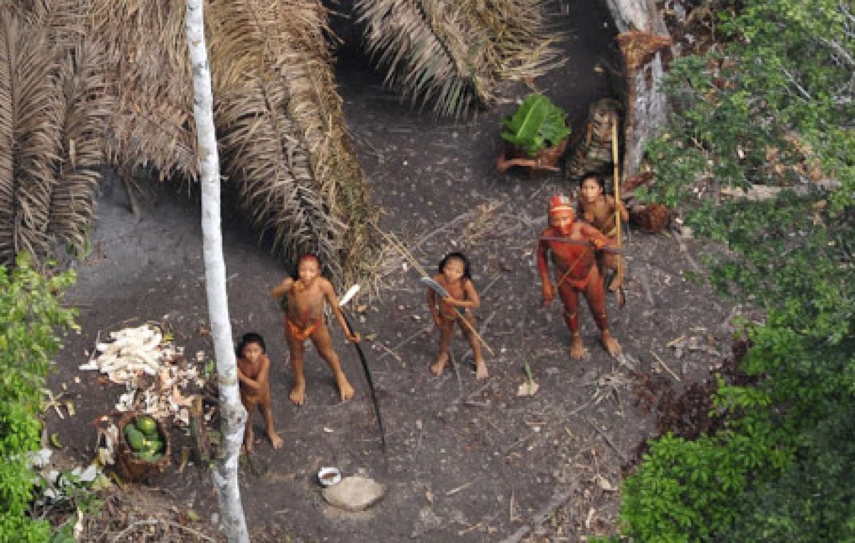 Pueblos indígenas no contactados corren peligro de aniquilamiento en Brasil
