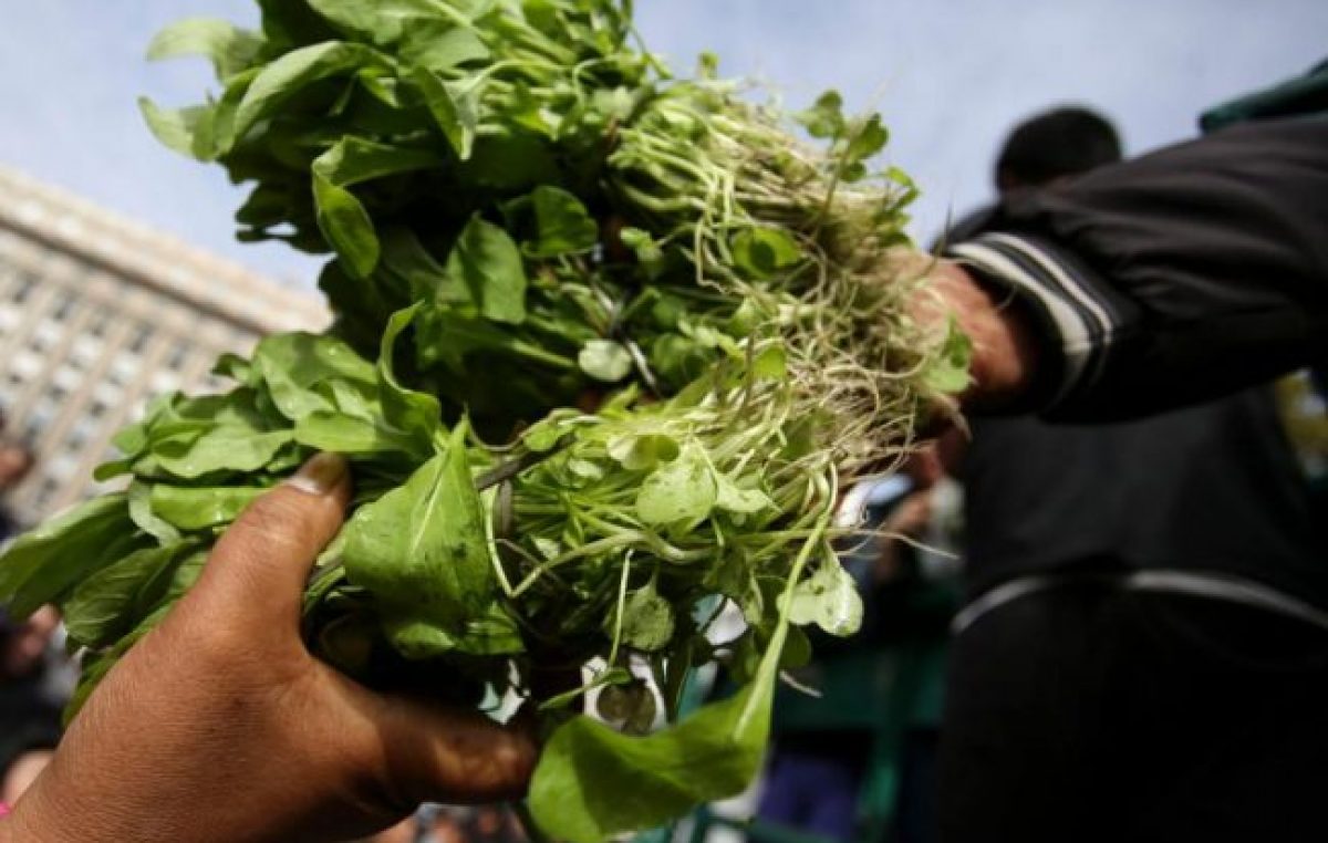 La Unión de Trabajadores de la Tierra dona 6 mil kilos de verduras a comedores 