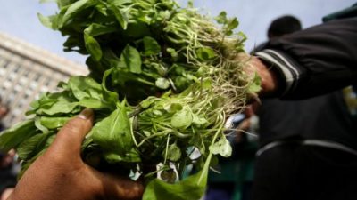 La Unión de Trabajadores de la Tierra dona 6 mil kilos de verduras a comedores 