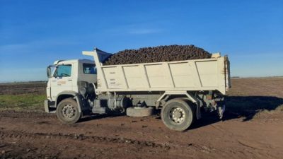 Punta Alta: Ocho toneladas de papas para los beneficiarios del Programa Alimentario Municipal