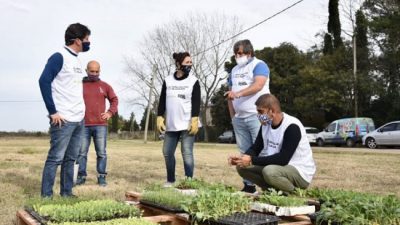 La Plata: Impulsan la creación de huertas comunitarias en espacios públicos y frentes de casas