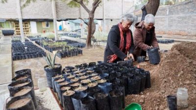 Mujeres recuperan y salvan bosques autóctonos en Mendoza