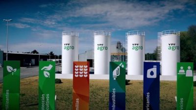 YPF Agro tendrá el 40 por ciento del mercado agroexportador