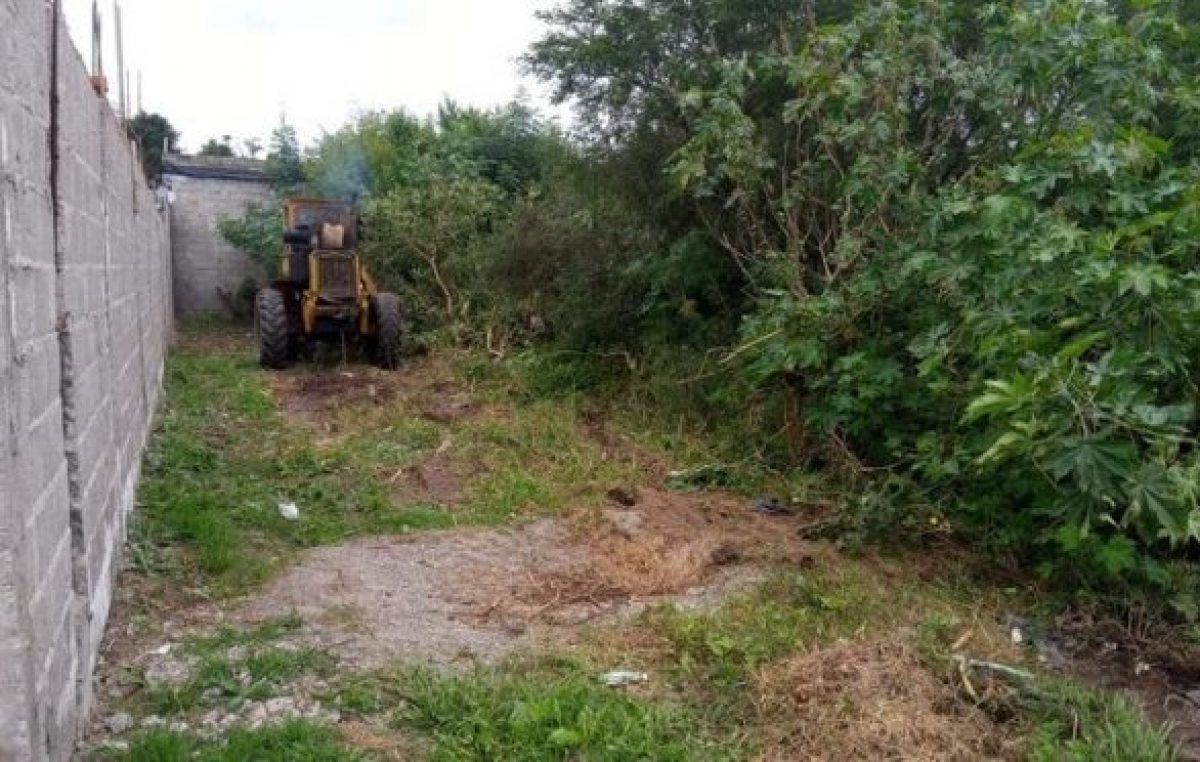 Quieren transformar 300 baldíos de Metán en huertas