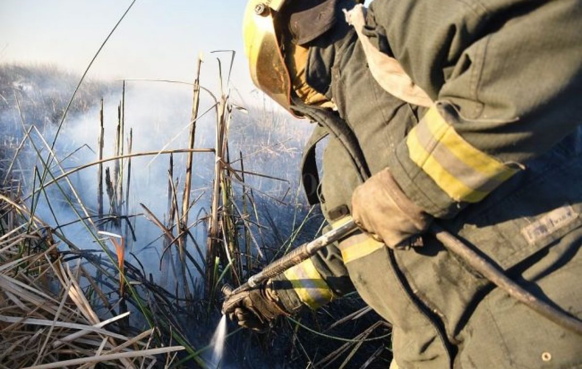 El Ministerio de Ambiente de la Nación es querellante en la causa por incendios en las islas del Paraná