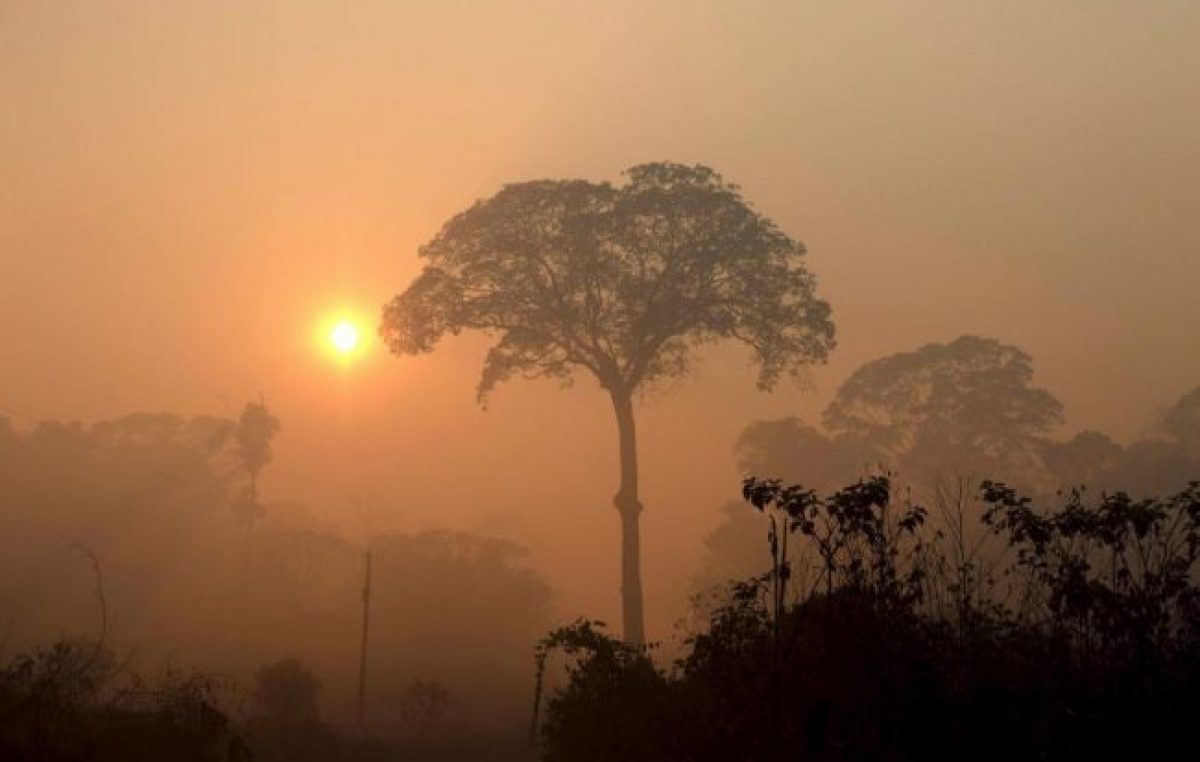 Amazonas en llamas: Brasil registró en junio el mayor número de incendios en 13 años