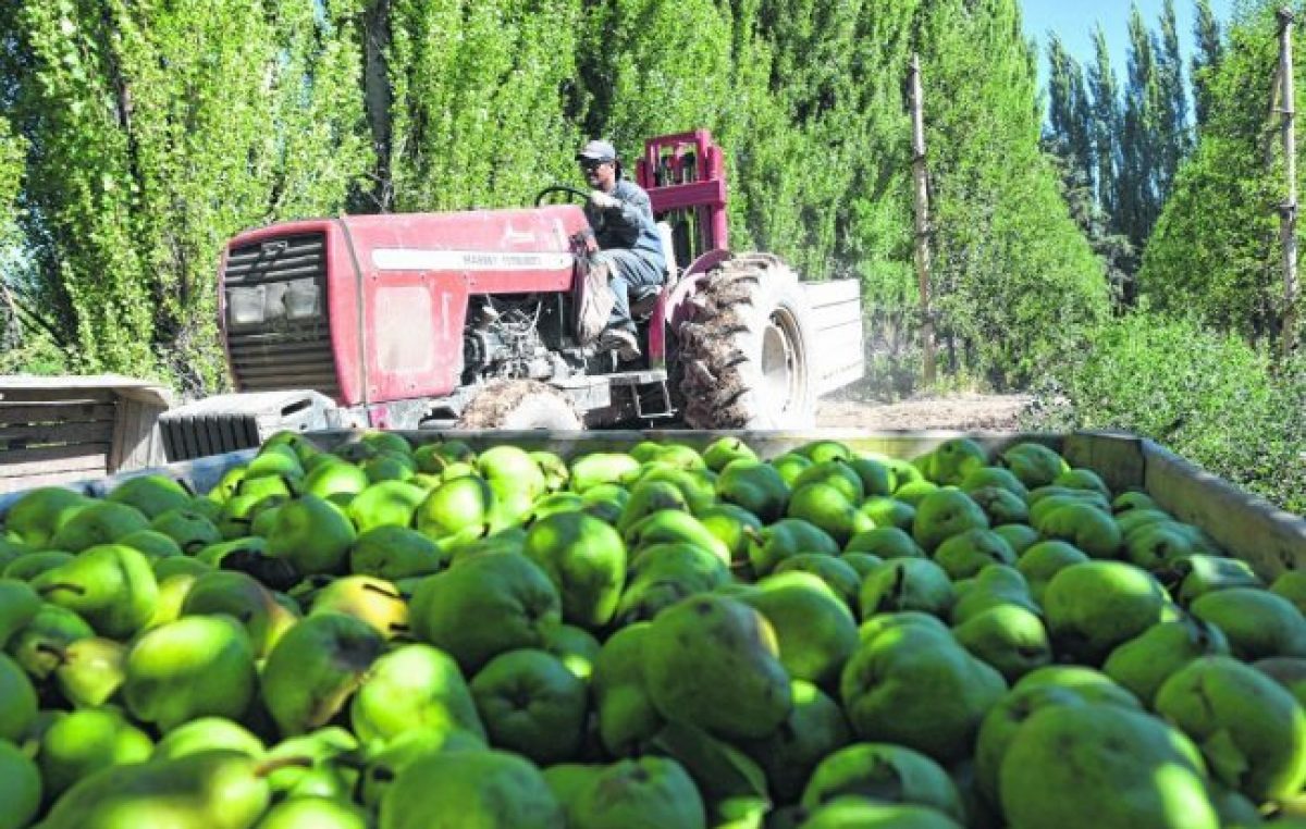 Río Negro: La Emergencia Frutícola vuelve a estar en la agenda del Gobierno Nacional