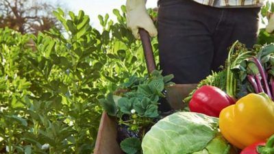 Santa Fe invertirá 20 millones de pesos en líneas para el desarrollo de la agricultura familiar
