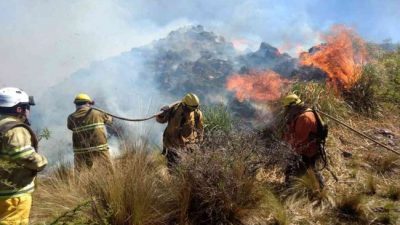 Desde hoy, Nación emitirá partes diarios sobre los incendios en el país