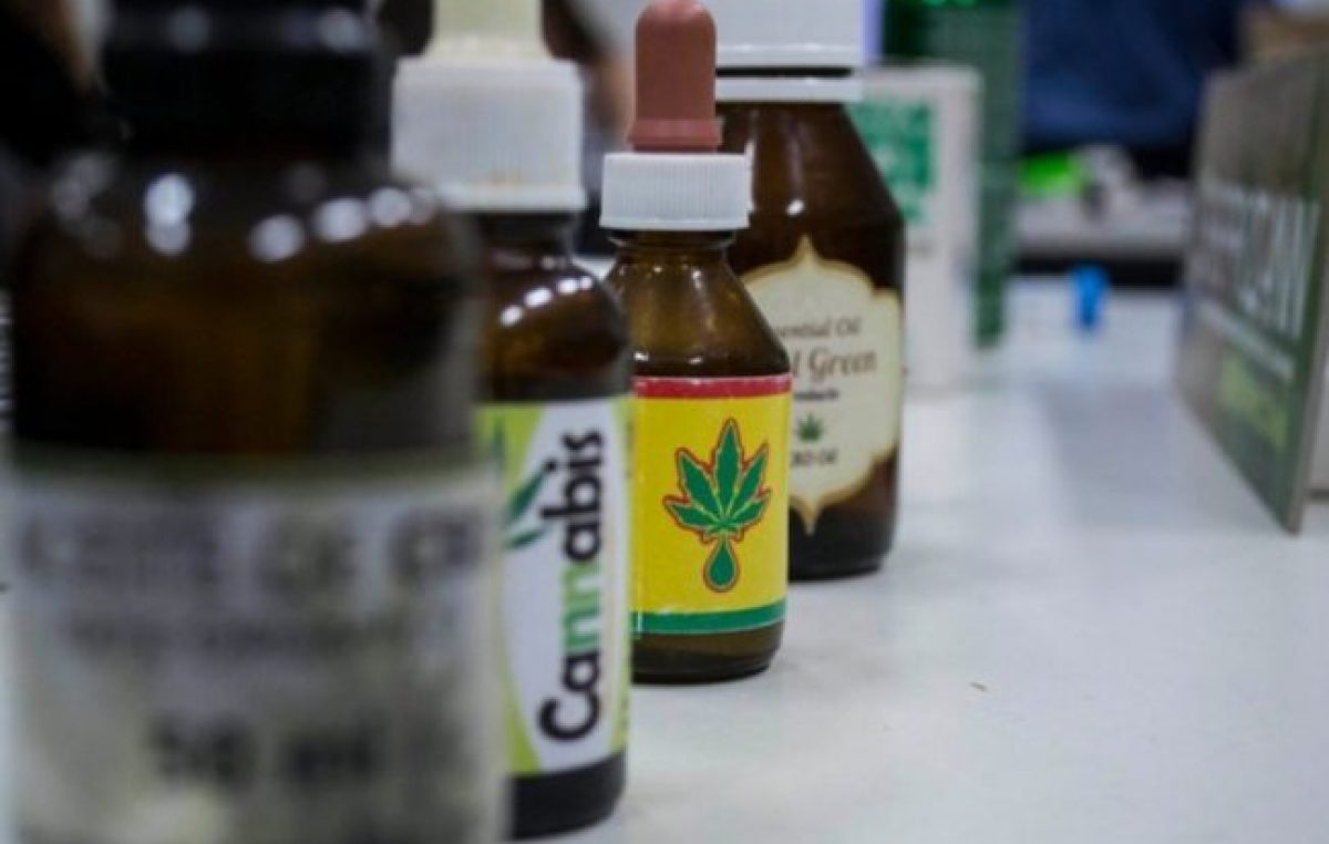 Aprobaron la reglamentación del cannabis terapéutico en Santa Fe
