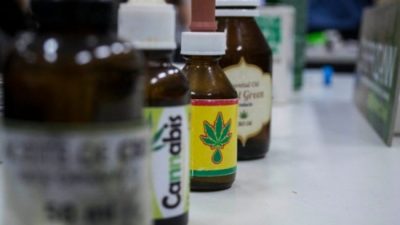 Aprobaron la reglamentación del cannabis terapéutico en Santa Fe