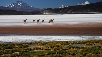 Turismo local: Rincones de Argentina que ningún turista debe perderse