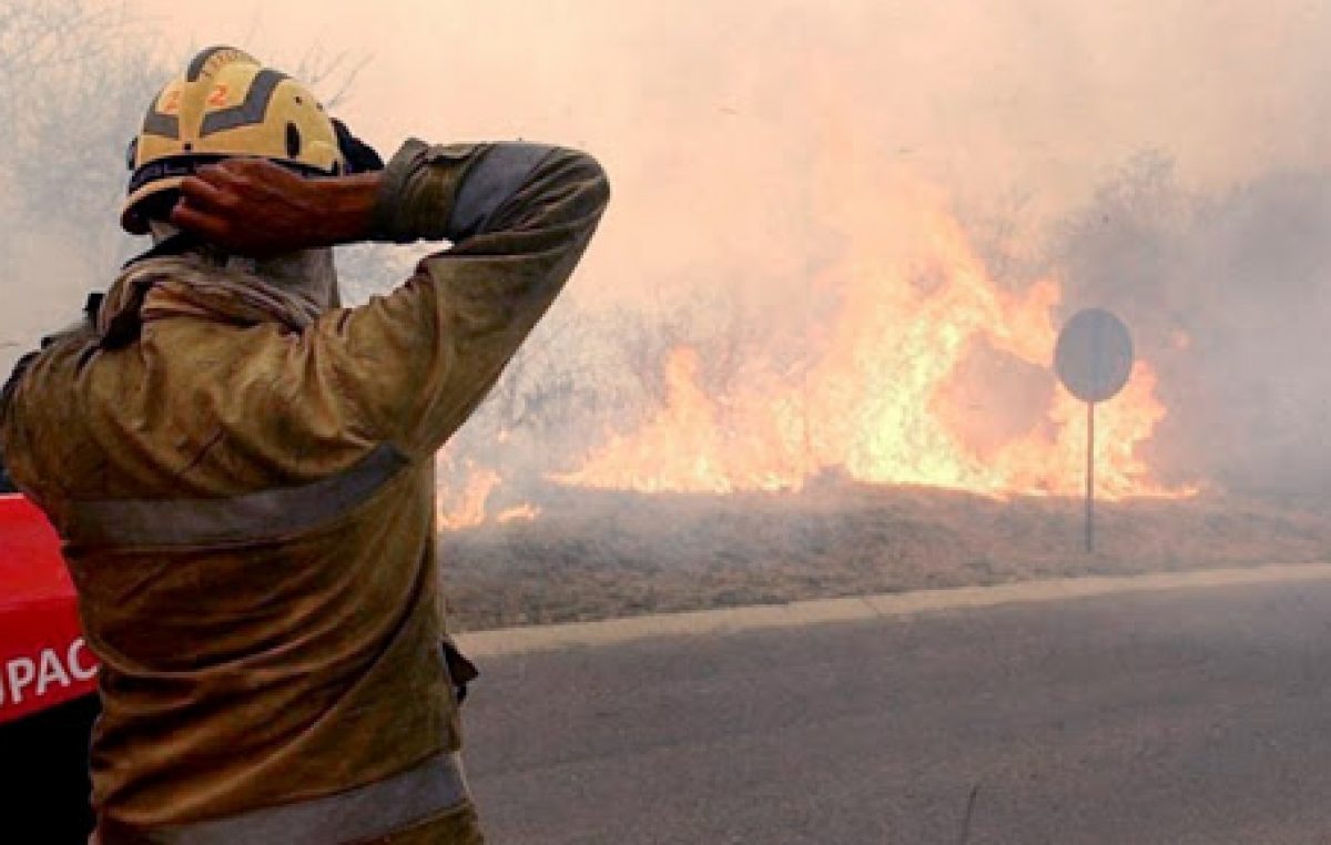 Hay incendios en 11 provincias y el 95% fueron producidos por acciones humanas