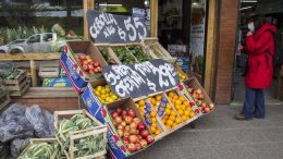 La Patagonia fue la región con mayor aumento de precios durante el último mes