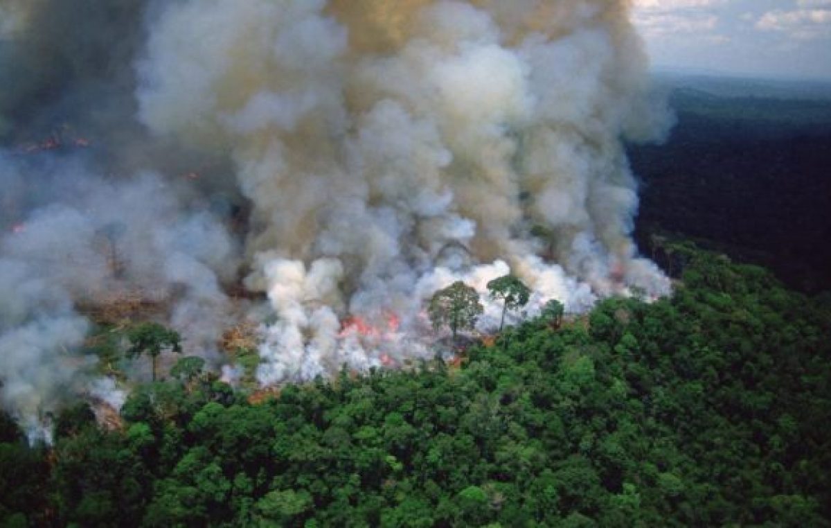 La Amazonía brasileña registró en agosto unos 30.000 focos de incendio