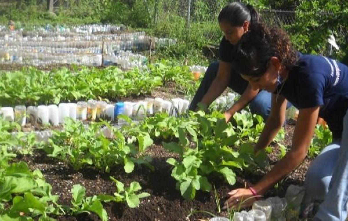 Jujuy: Créditos para mujeres rurales y campesinas