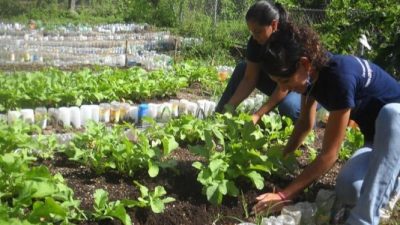 Jujuy: Créditos para mujeres rurales y campesinas
