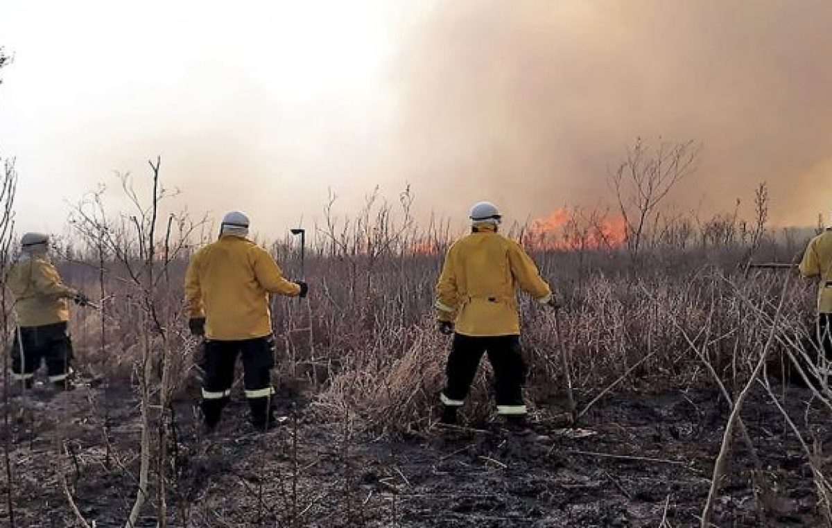 Cabandié: «Apagar un incendio en el Delta del Paraná cuesta 20 millones por día»