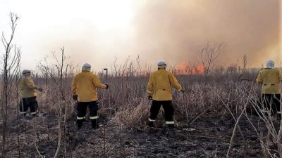 Cabandié: «Apagar un incendio en el Delta del Paraná cuesta 20 millones por día»
