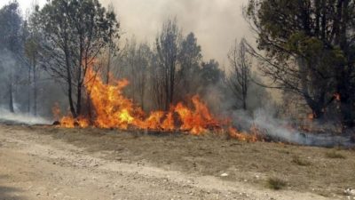 Más de 190 mil hectáreas quemadas por los incendios forestales en Córdoba