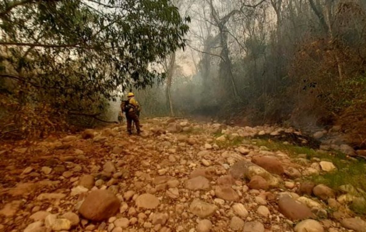 Son más de 18.000 las hectáreas quemadas en las Yungas jujeñas