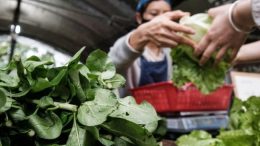 Consumidores pagaron cinco veces más por los alimentos