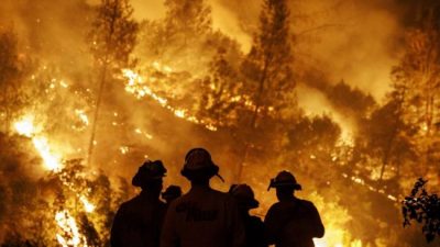 Incendios en Córdoba: van 300 mil hectáreas quemadas, en el peor año de las últimas décadas