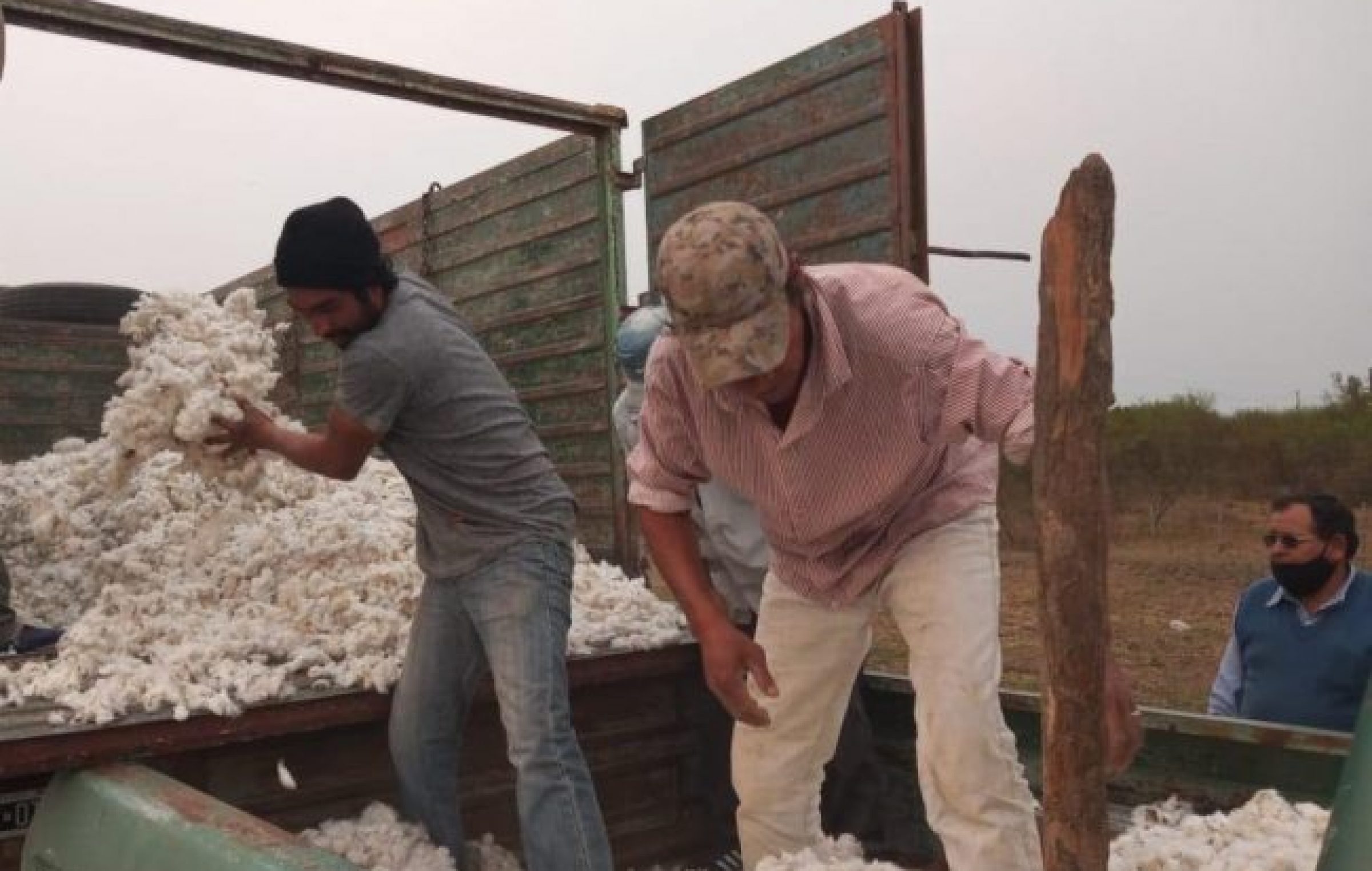 Chaco comunidades qom producen algodón agroecológico Argentina Municipal