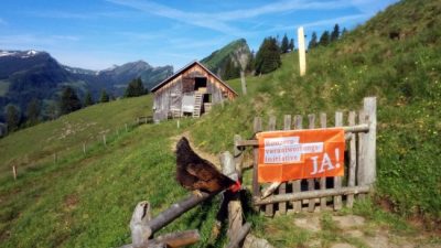Suiza vota sobre la responsabilidad de sus empresas en el extranjero