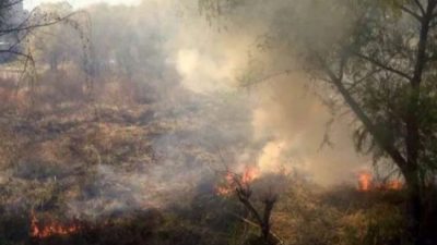 Incendios forestales: el Parque Nacional Calilegua y la Reserva Natural Las Lancitas están en riesgo