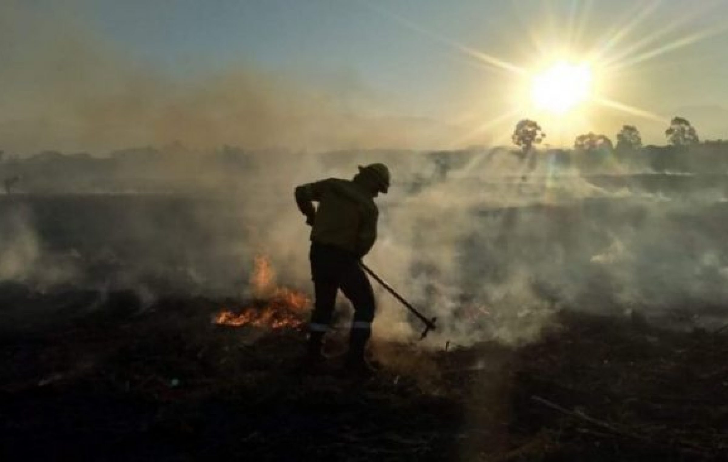 Ya Se Quemaron Más De 22 Mil Hectáreas Por Los Incendios Forestales En ...