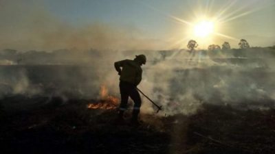 Ya se quemaron más de 22 mil hectáreas por los incendios forestales en las yungas
