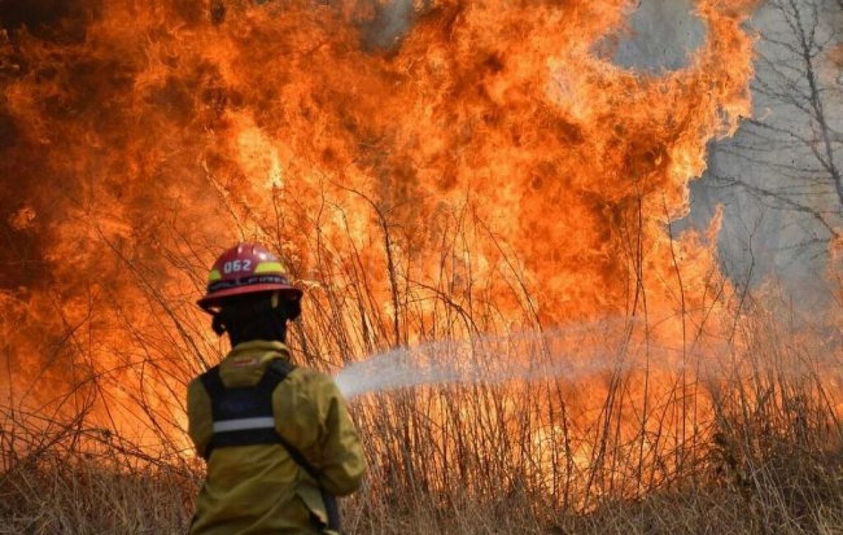 El año en el que más de un millón de hectáreas fueron arrasadas en el país por incendios forestales