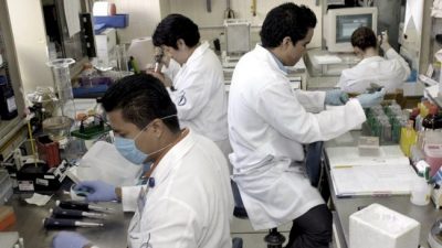 Relanzaron el programa Raíces para repatriar científicos argentinos que trabajan en el exterior