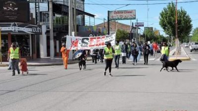 Trabajadores municipales de Plottier reclaman mejoras salariales