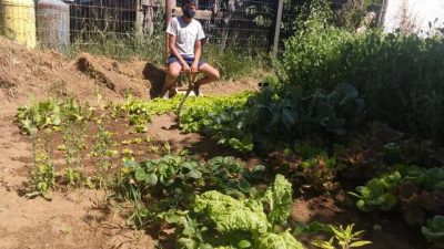 Durante la pandemia creció la cantidad de huertas urbanas en Bariloche