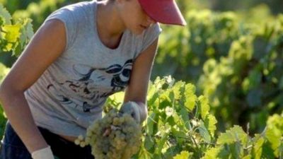 El modelo agroindustrial y la inequidad de género