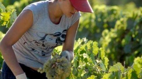 El modelo agroindustrial y la inequidad de género