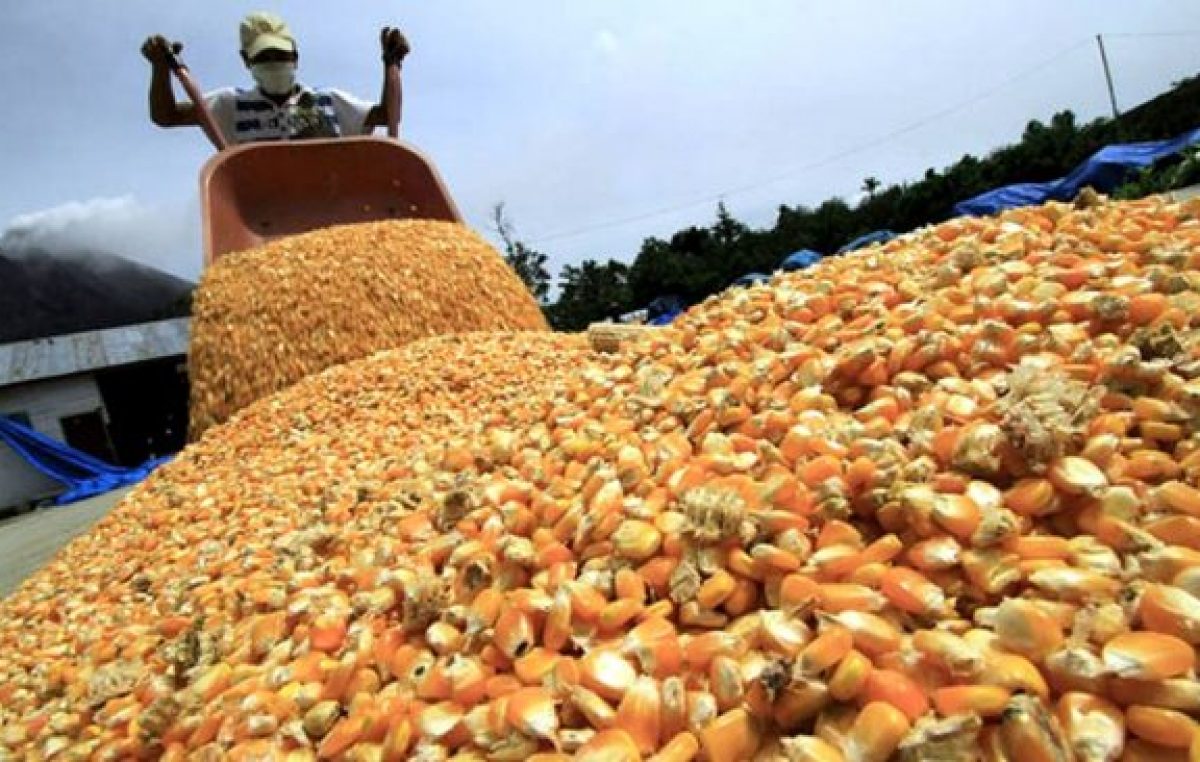El Presidente le pidió a los productores «solidaridad» para garantizar el consumo interno