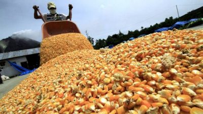 El Presidente le pidió a los productores «solidaridad» para garantizar el consumo interno