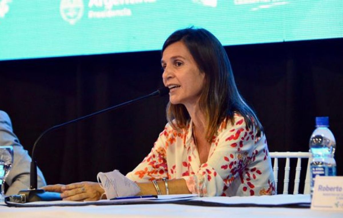ANSES transfirió casi 40.000 millones de pesos a provincias en 2020
