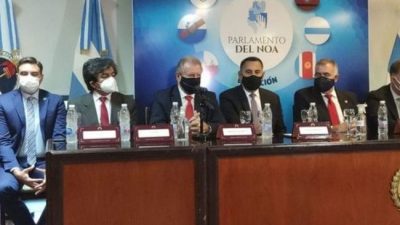 Parlamento del NOA pidió la prórroga de la Ley de Biocombustibles