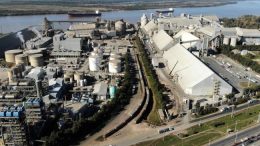 Vicentin: una salida privada que reconoce el lugar del Estado