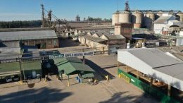 El Banco Nación respalda la propuesta para evitar el desguace de la empresa Vicentin