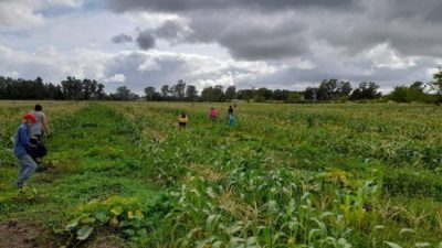 La toma de tierras que se convirtió en una huerta vecinal