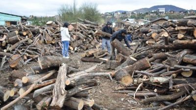 Comienza la entrega de leña del Plan Calor Municipal en Bariloche