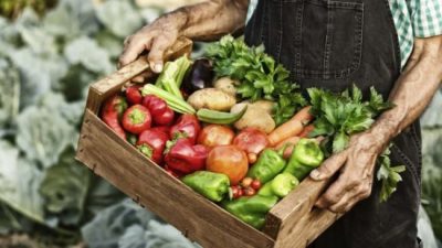 Alimentos: Los consumidores pagan hasta 14 veces lo que recibe el productor