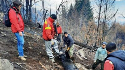 Empezaron trabajos de remediación posincendio en localidades de Chubut